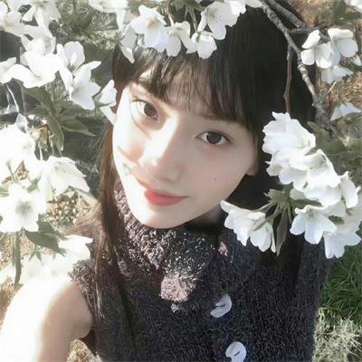 功夫无敌